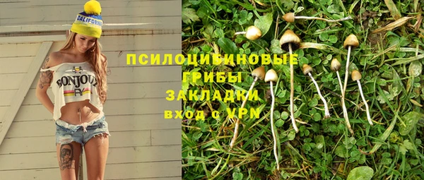 прущие крисы Осташков